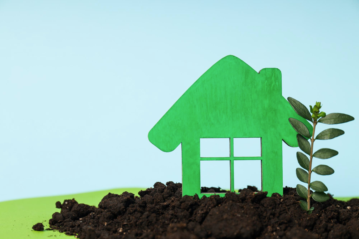 Zielone dachy i fasady